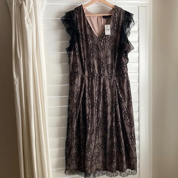 Lane Bryant Black Lace Dress - Picture 1 of 6